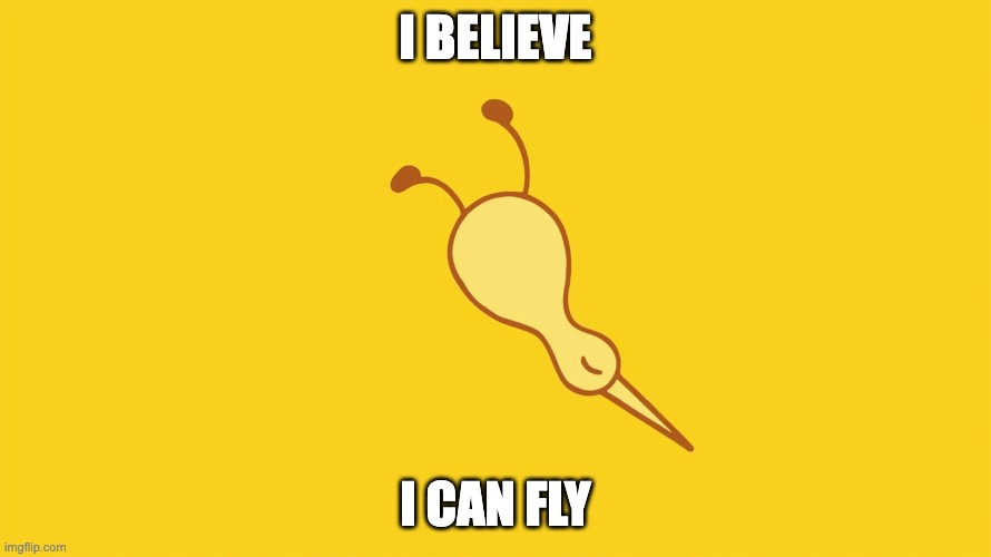 Kiwi bird meme reading I believe I can fly